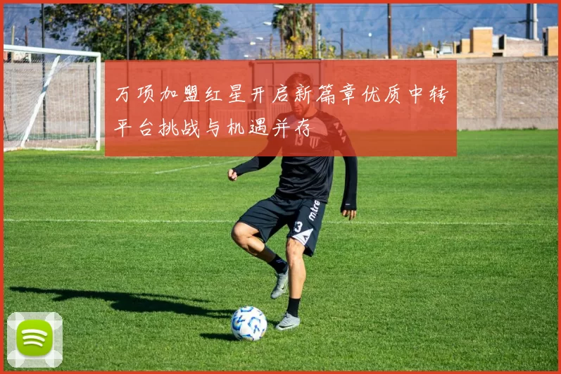 万项加盟红星开启新篇章优质中转平台挑战与机遇并存