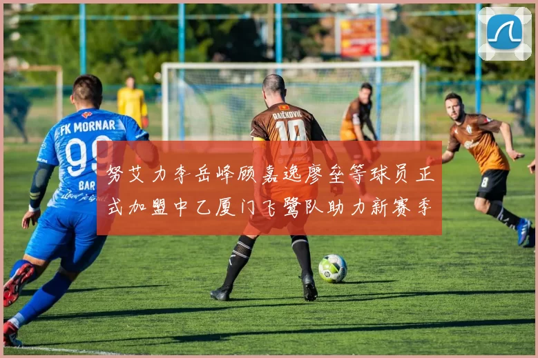 努艾力李岳峰顾嘉逸廖垒等球员正式加盟中乙厦门飞鹭队助力新赛季