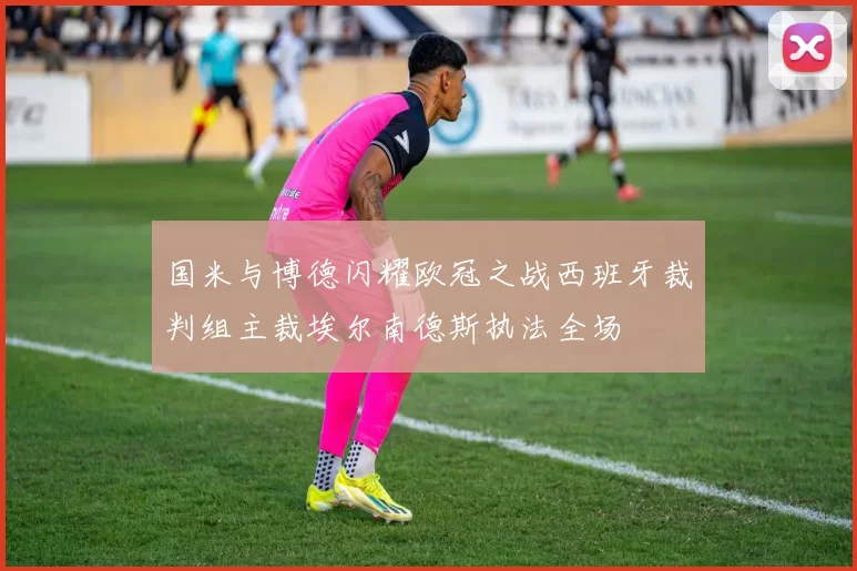 国米与博德闪耀欧冠之战西班牙裁判组主裁埃尔南德斯执法全场